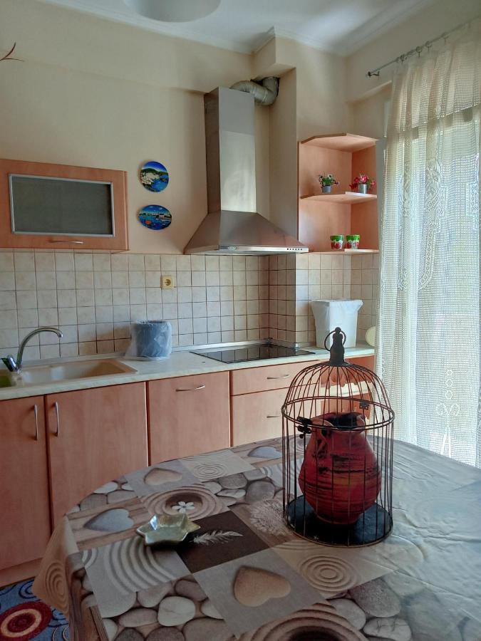 Oasis Apartment نيا ميشانيونا المظهر الخارجي الصورة